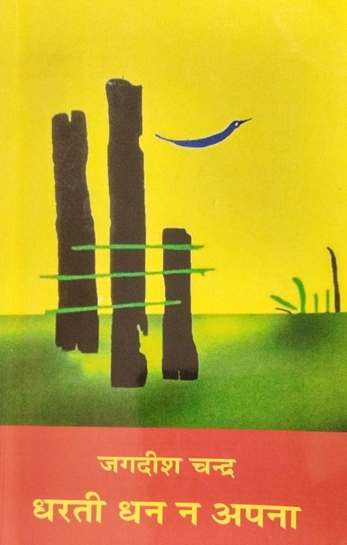 Library Book Book